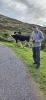 PICTURES/Ring of Kerry - Staigue Stone Fort/t_20250927_120744.jpg